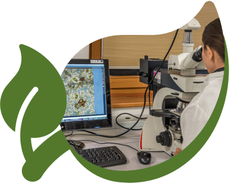 1_analisi_microscopiche_agridea 1_analisi_microscopiche_agridea